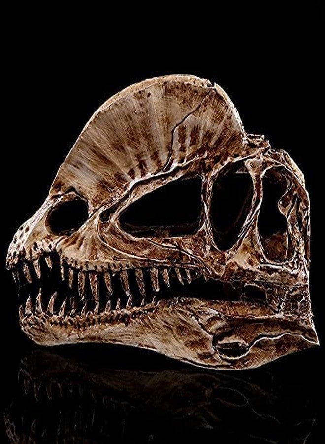 Koolouispoper T-Rex Skull Dinosaur Resin Craft Gifts Home Decor Replica Fish Tank Statue Tyrannosaur Skull Skeleton Aquarium Decoration (A) - Image 2
